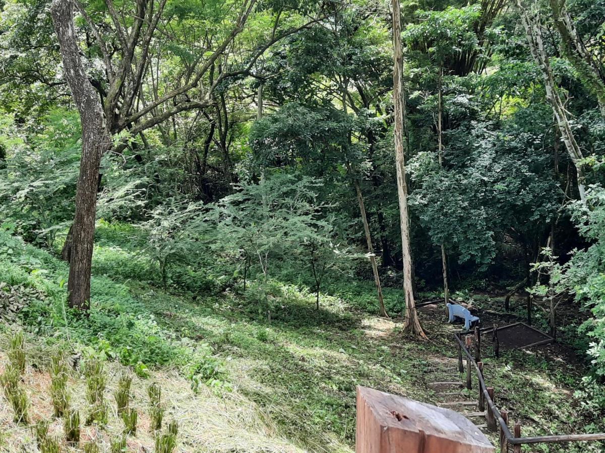 Eco-Turismo Guayacanes Sámara Exteriér fotografie